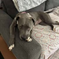 Photo of Bonnie