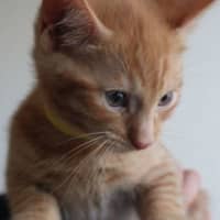 Photo of Stanley