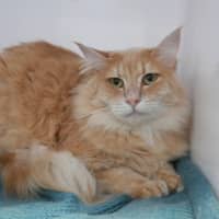 Photo of Nemo Rsta012109