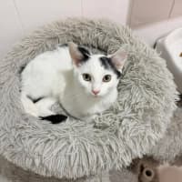 Photo of Sunny 