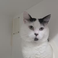 Photo of Bugboy