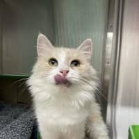 Photo of Tiny