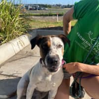 Photo of Lexie