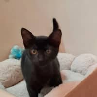 Photo of Charlie 