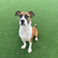 Photo of Zeke Imp 1305