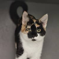 Photo of Myah