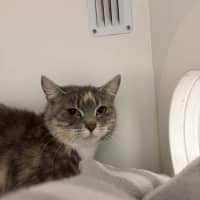 Photo of Cutie