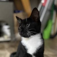 Photo of Jet