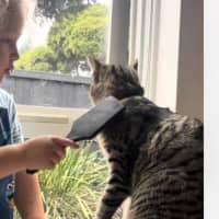 Photo of Tiga & Winnie 