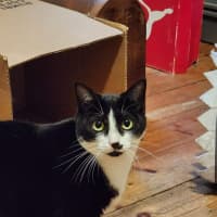 Photo of Charlee