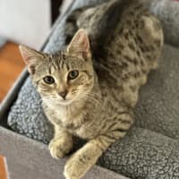 Photo of Twinkle