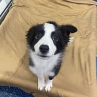 Photo of Sophie