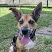 Photo of Maggie   Mae 