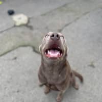 Photo of Stormy 
