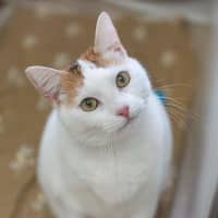 Photo of Paloma