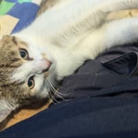 Photo of Rex