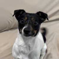 Photo of Little Bean 