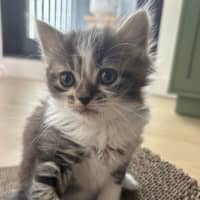 Photo of Veruca