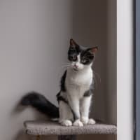 Photo of Harper