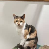 Photo of Lola And Annie