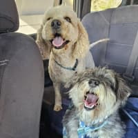 Photo of Cali And Theo