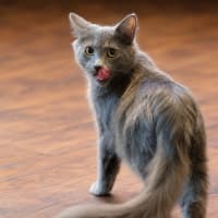 Photo of Storm