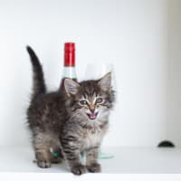 Photo of Stacys Sister