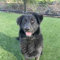 Photo of Jagger Imp 1613