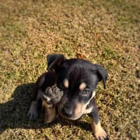 Photo of Reginald