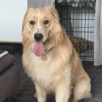 Photo of Stirfry
