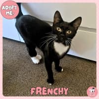 Photo of Frenchy