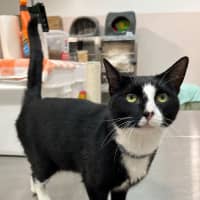 Photo of Charlie (9121)
