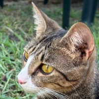 Photo of Milly