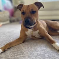 Photo of Rinleigh