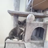 Photo of Louie