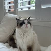 Photo of Princess