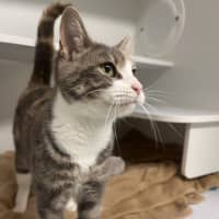 Photo of Scarlette 
