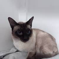 Photo of George 