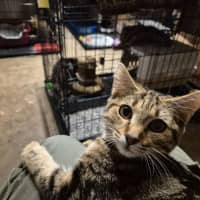 Photo of Autumn   Located In Templestowe