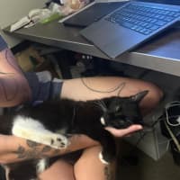 Photo of Daddy Mikey 