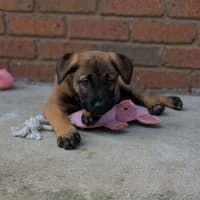 Photo of Astrid