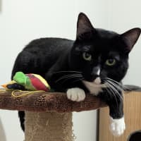 Photo of Binks