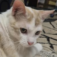 Photo of Lucky And Blue