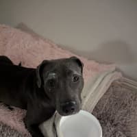 Photo of Bumble