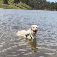 Photo of Max