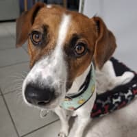 Photo of Leroy