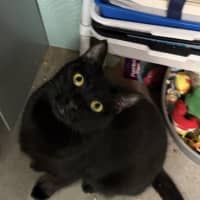 Photo of Taco