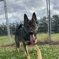 Photo of Cash