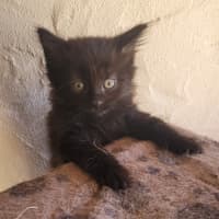 Photo of 💗 Annie 💗