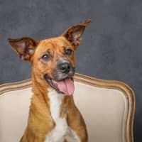 Photo of Athena